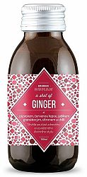 Natu Ginger Shot BIO 100 ml