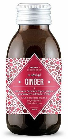 Natu Ginger Shot BIO 100 ml